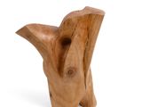 a wooden sculpture of a bird on a white background