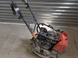 an image of a small lawn mower in front of a garage door
