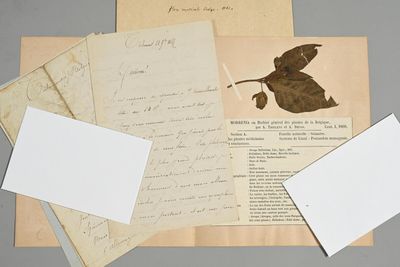 Armand THIELENS (Tienen 1833-1878), botaniste et naturaliste…