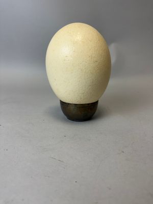 une image représentant une balle blanche posée sur un socle en bois