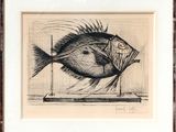 dessin représentant un poisson posé sur une table, dans un cadre accroché à un mur de briques