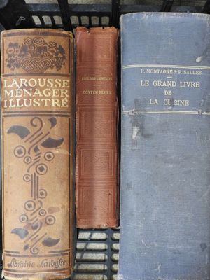 Plusieurs vieux livres sont posés sur une étagère d'une bibliothèque