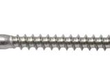 a close up of a screw on a white background