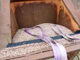 a bird feeder that has a purple ribbon on it