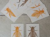 six cartes ornées de motifs d'insectes différents, posées sur un sol carrelé