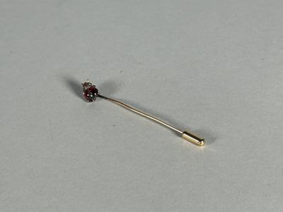 l'image d'une petite fleur rouge sur une tige