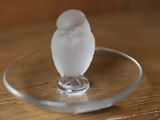 un petit oiseau blanc perché sur une assiette en verre