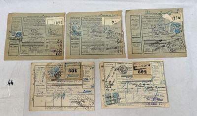 quatre vieux documents militaires sont posés sur une surface blanche