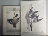 two pictures of birds hanging on a wall next to each other