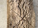 a stone carving on the side of a building