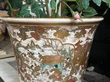 a potted plant that is sitting on a table