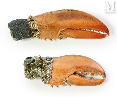 deux homards assis l'un à côté de l'autre