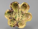un gros plan d'un objet en forme de fleur posé sur une surface grise