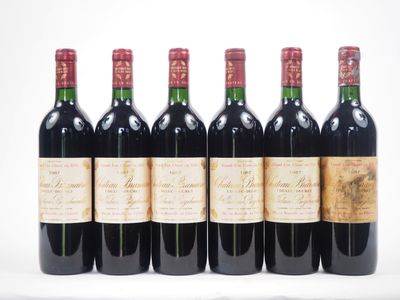 six bouteilles de vin rouge alignées sur une surface blanche
