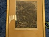 a picture of a picture of a forest in a gold frame