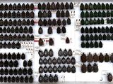 a lot of beetles that are on display on the wall