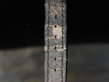 a close up of a watch strap hanging from a hook