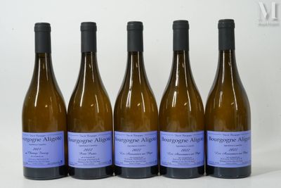 six bouteilles de vin sont alignées sur une table