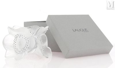 une image représentant une boîte contenant une fleur blanche