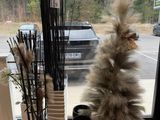 un chat assis par terre près de la fenêtre