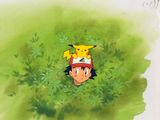 Pikachu, un Pokémon, dans l'herbe, coiffé d'un chapeau