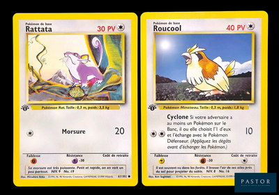 deux cartes Pokémon sur lesquelles figurent un oiseau et un autre oiseau, l'un posé sur l'autre