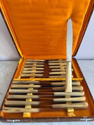 beaucoup de couteaux dans un étui contenant un couteau