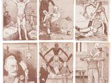 six different pictures of a man with a sword and a woman with a cat