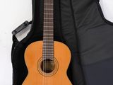 an image of a guitar in a case on a white surface