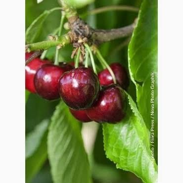 Destockage & Invendus