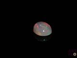 an oplite in the dark with a black background