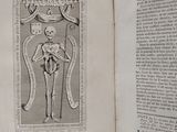 an open book with a drawing of a skeleton on it