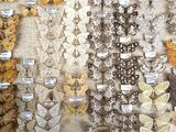 many different types of moths displayed on the wall