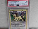 a close up of a pokemon card with a cat on it
