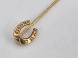 an image of a gold colored brooch with a horseshoe on it