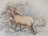 a painting of a deer with antlers on it ' s back