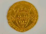the gold coin has a lion head on it ' s back