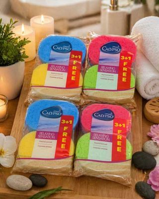 Lot de 20 paquets de 4 éponges mousse Calypso