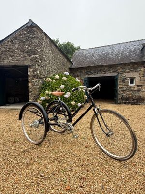 un vélo avec un panier de fleurs à l'arrière