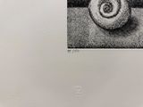 un dessin en noir et blanc représentant une pomme posée sur une table