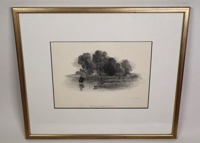 l'image d'une photo d'une photo d'un arbre dans un champ