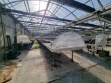 une grande serre dans laquelle poussent de nombreuses plantes