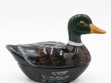 a black duck with a yellow beak sitting on a white surface