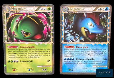 deux cartes Pokémon présentant des motifs différents sur un fond noir