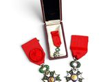 two medals and a red ribbon in a case on a white surface