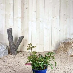 Destockage & Invendus