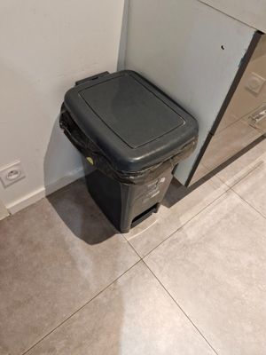 Poubelle en PVC à pédale DOSSIER 5 : SALON DE BEAUTE