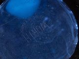 an image of a blue bottle with a black lid