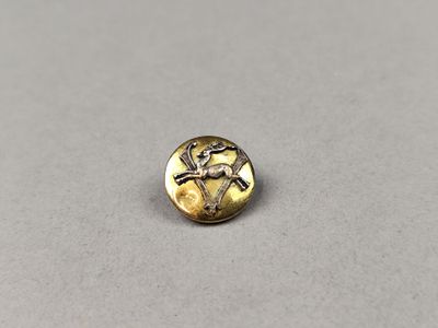 un gros plan sur un bouton doré orné d'un cheval