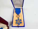 a blue and gold medal in a box with a blue ribbon